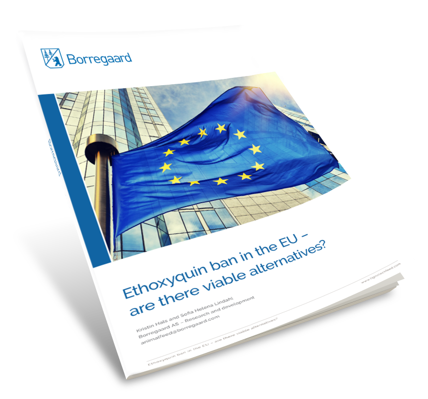 Ethoxyquin ban in the EU are there viable alternatives?